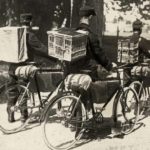 Postduiven per fiets naar het front. WO1.